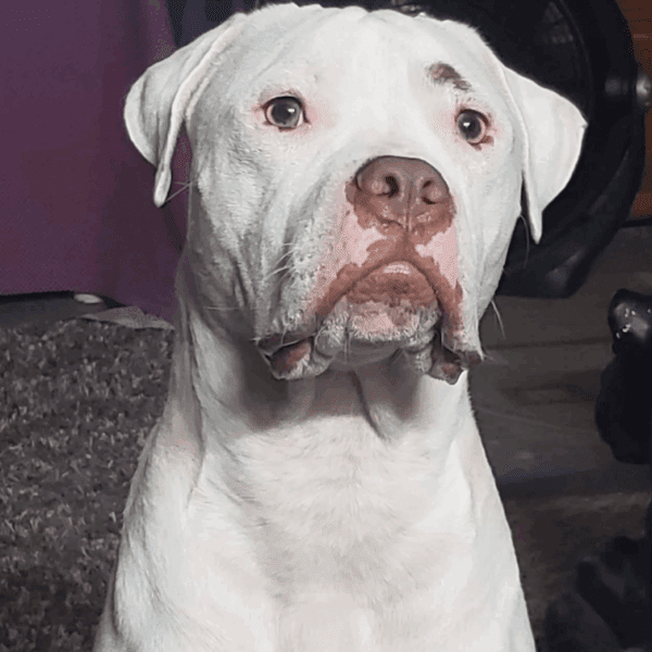 Jax Mix